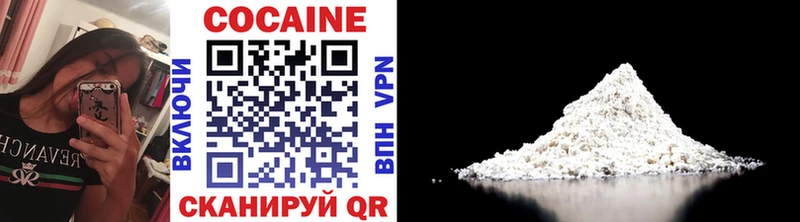 Купить закладки  Зеленогорск  COCAIN Fish Scale 